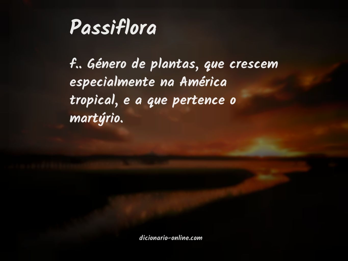 Significado de passiflora