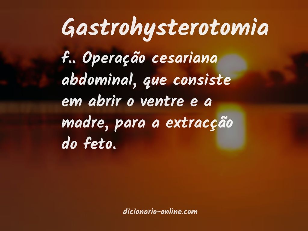Significado de gastrohysterotomia