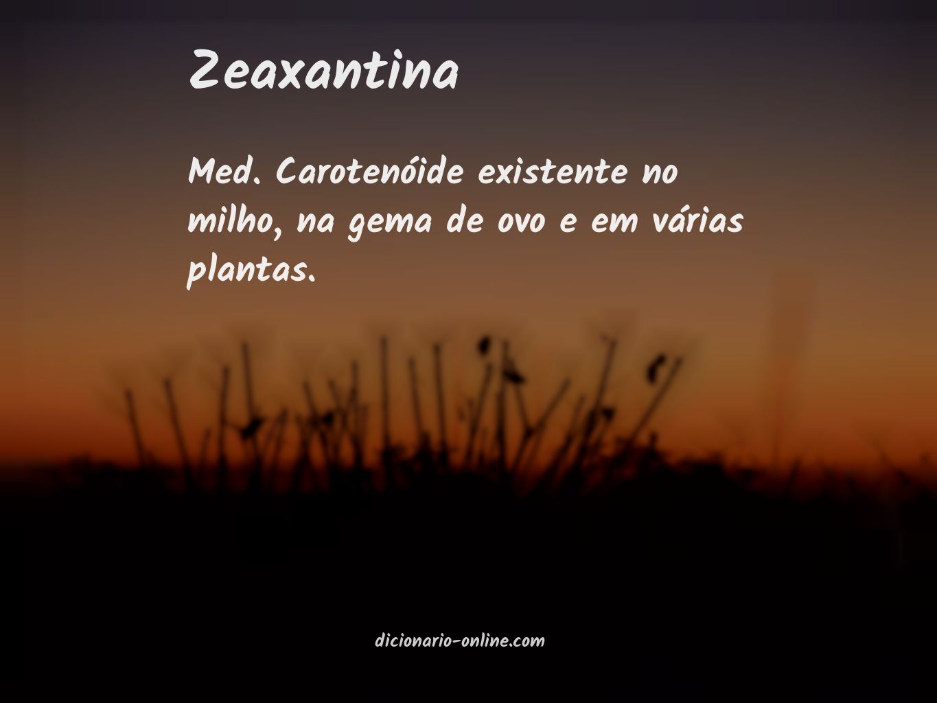 Significado de zeaxantina