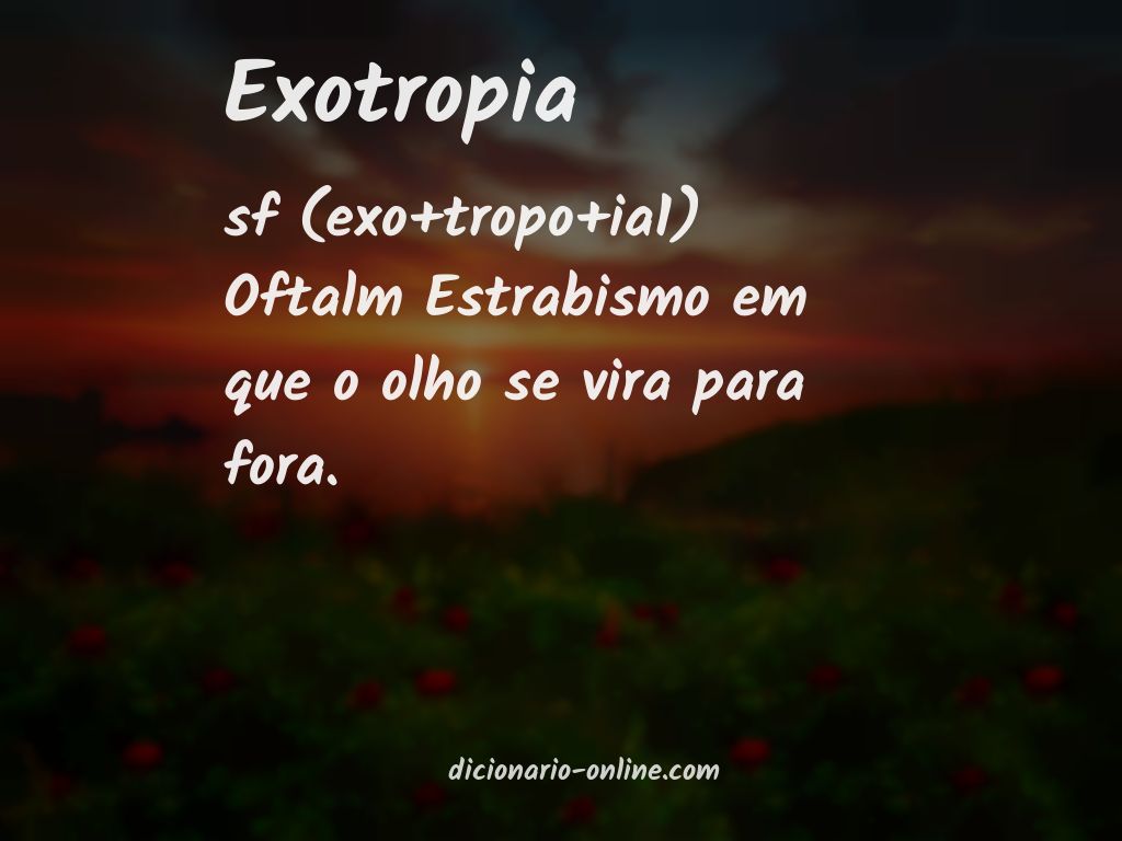 Significado de exotropia
