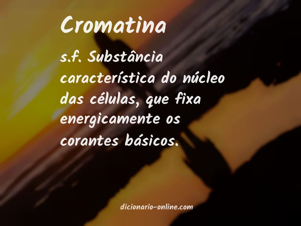 Significado de cromatina