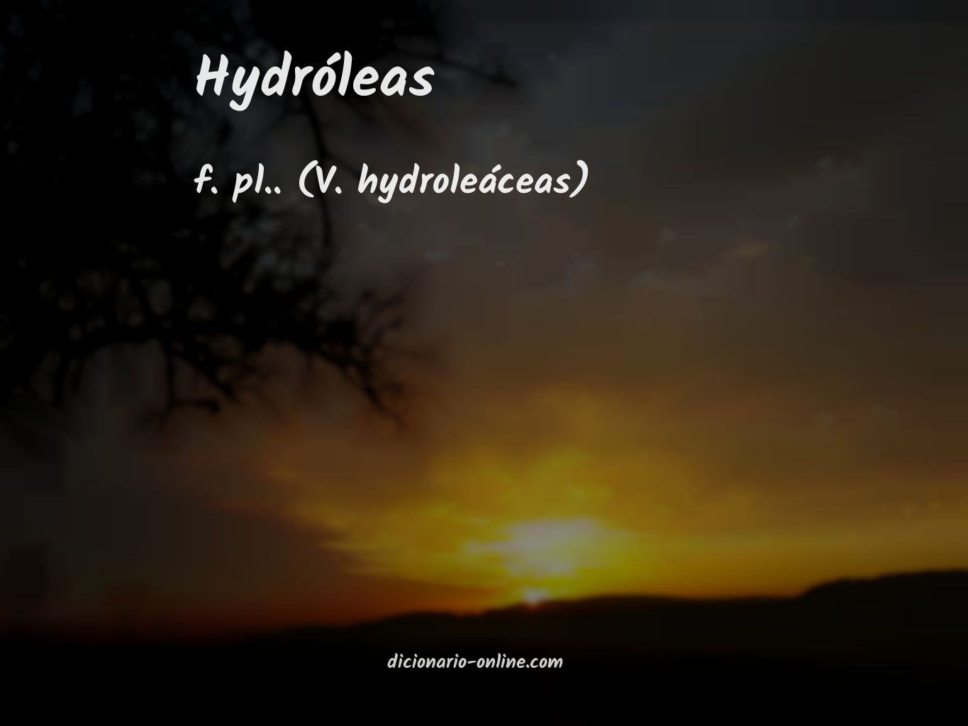 Significado de hydróleas