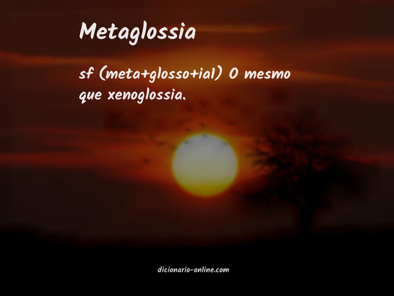Significado de metaglossia