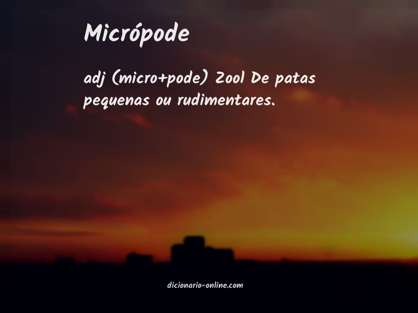 Significado de micrópode