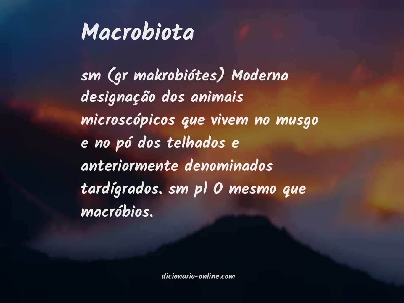 Significado de macrobiota