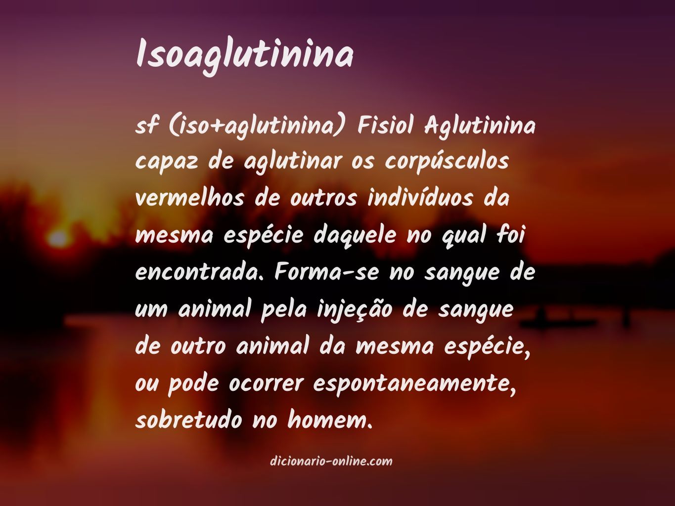 Significado de isoaglutinina