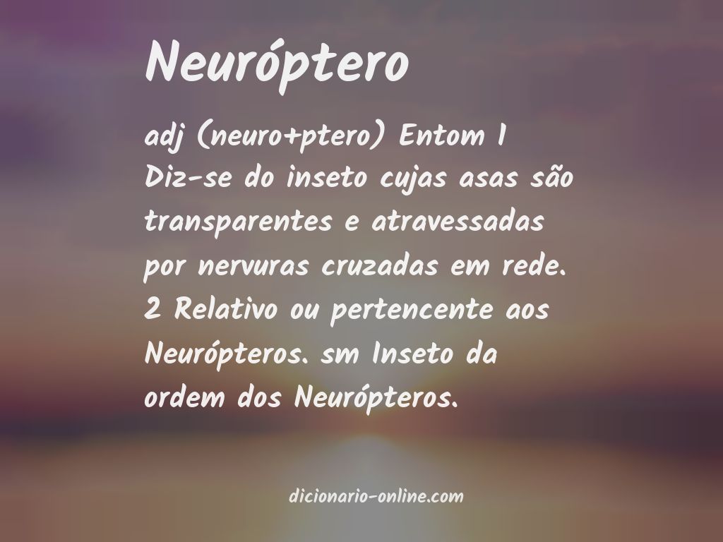 Significado de neuróptero