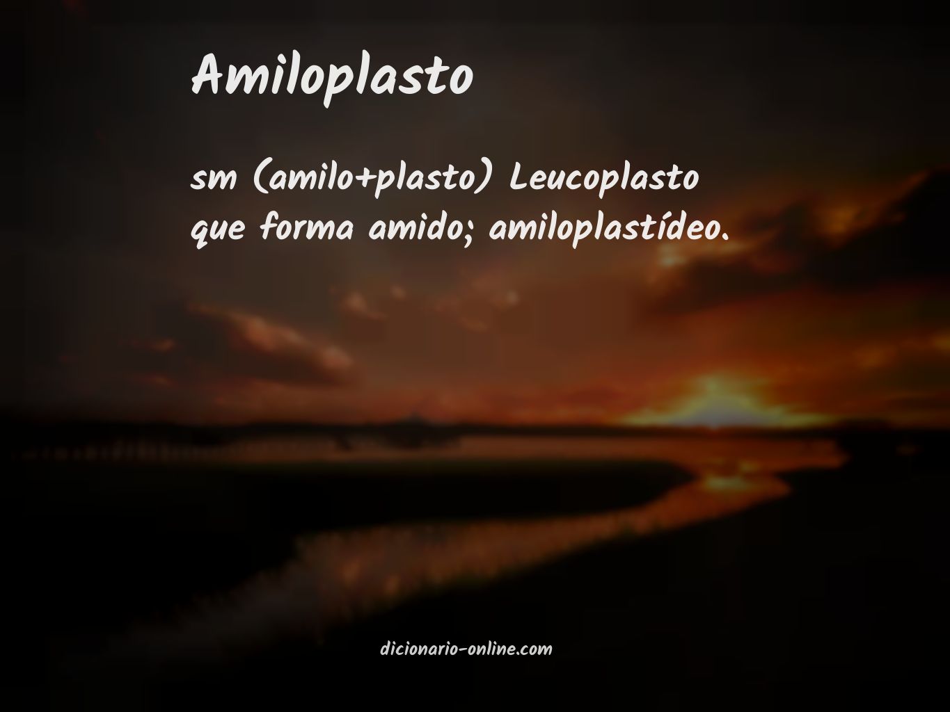 Significado de amiloplasto