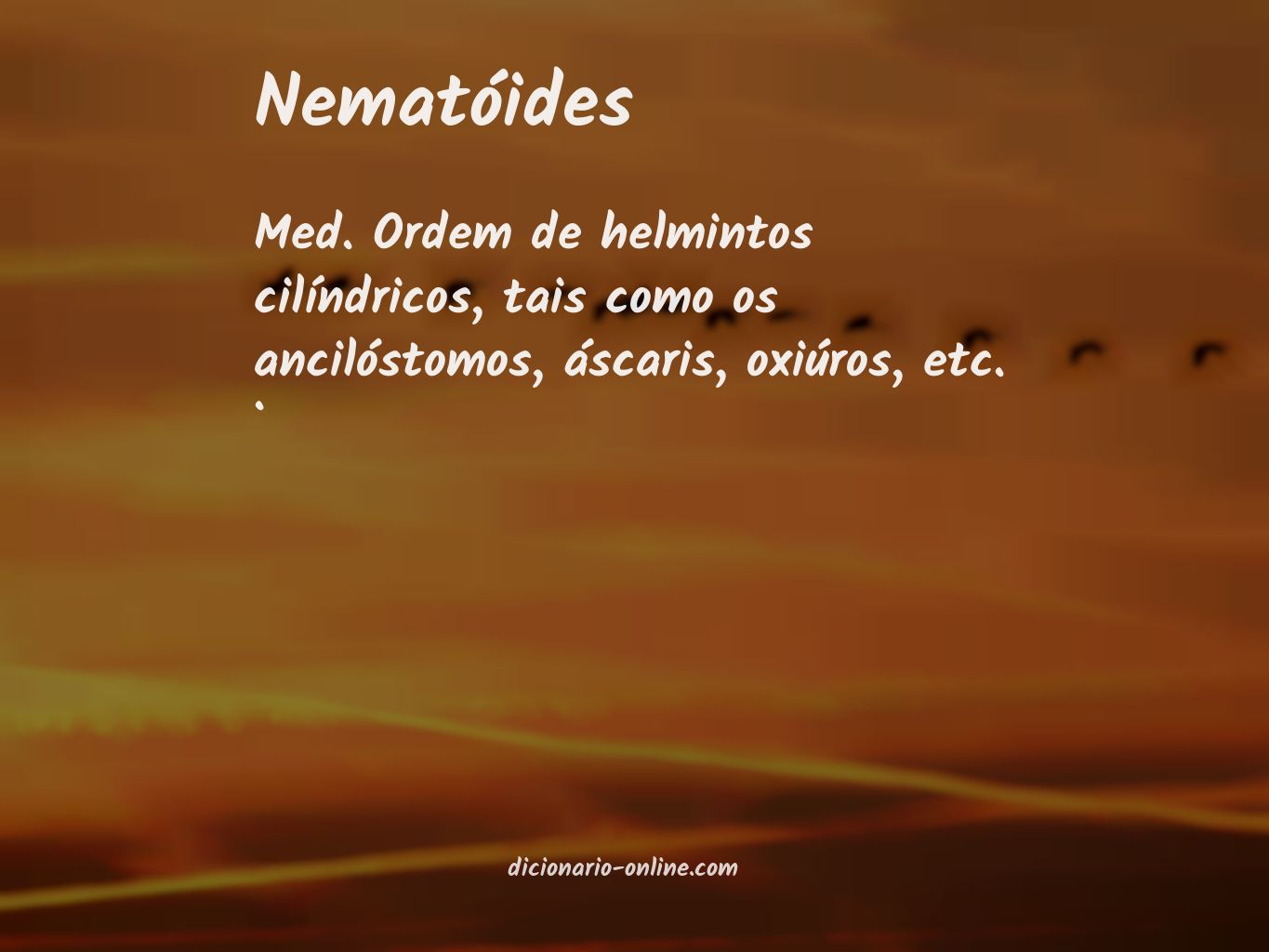 Significado de nematóides