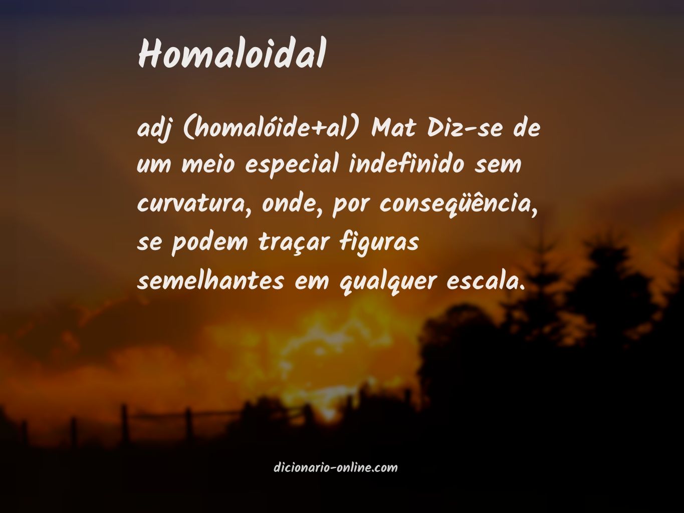 Significado de homaloidal