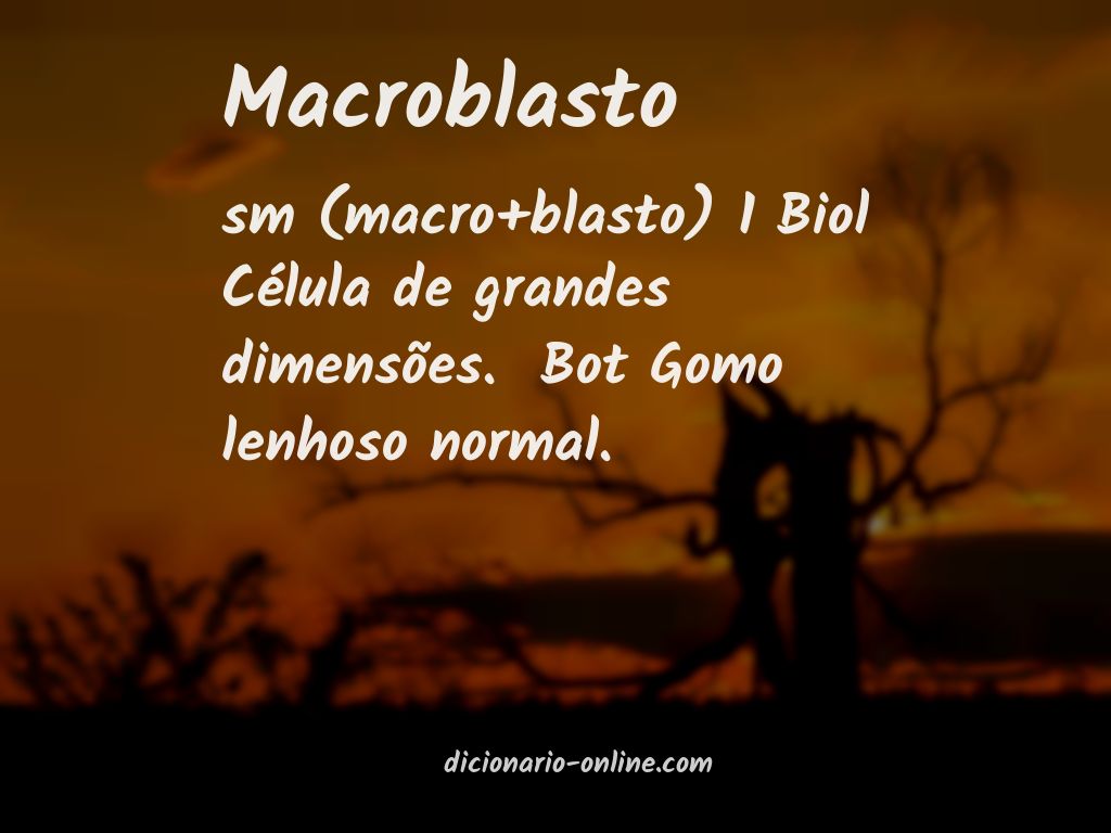Significado de macroblasto