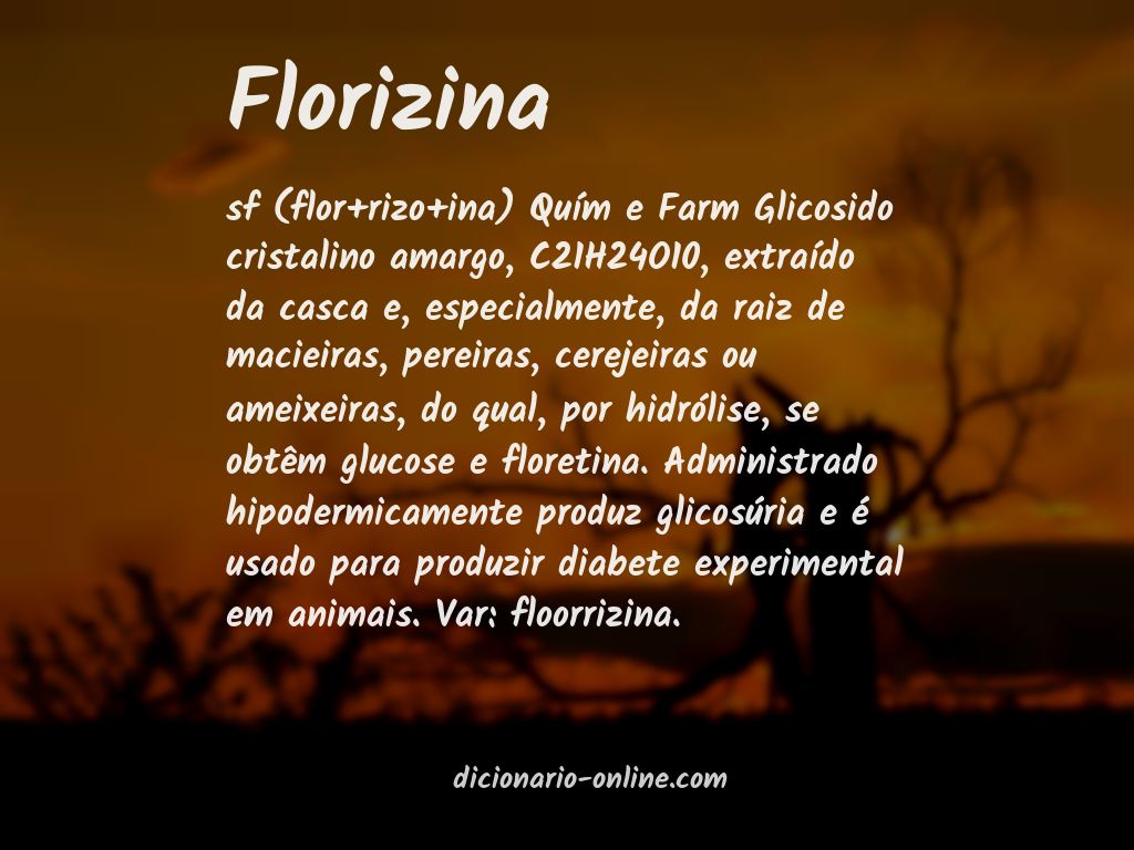 Significado de florizina