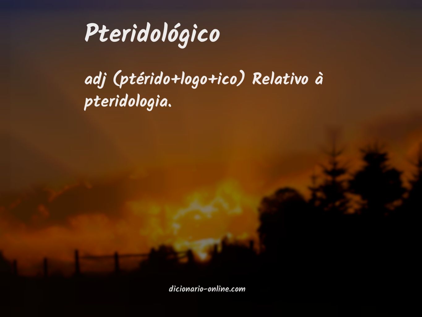 Significado de pteridológico