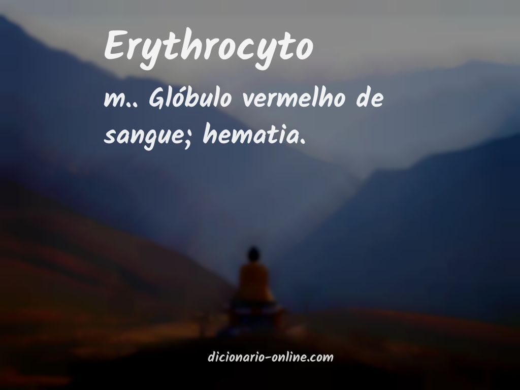 Significado de erythrocyto