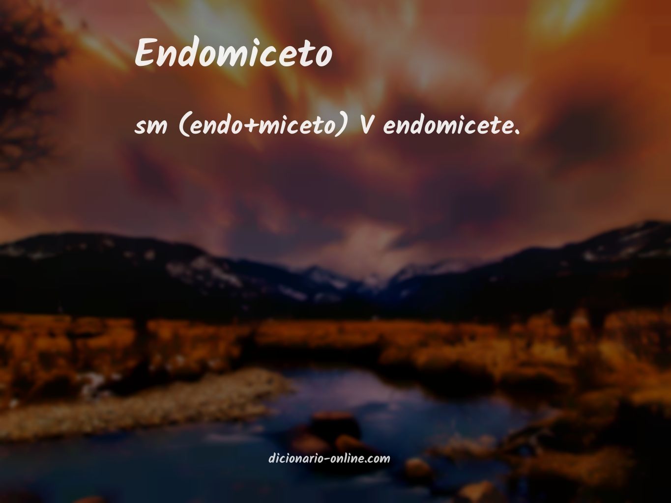 Significado de endomiceto