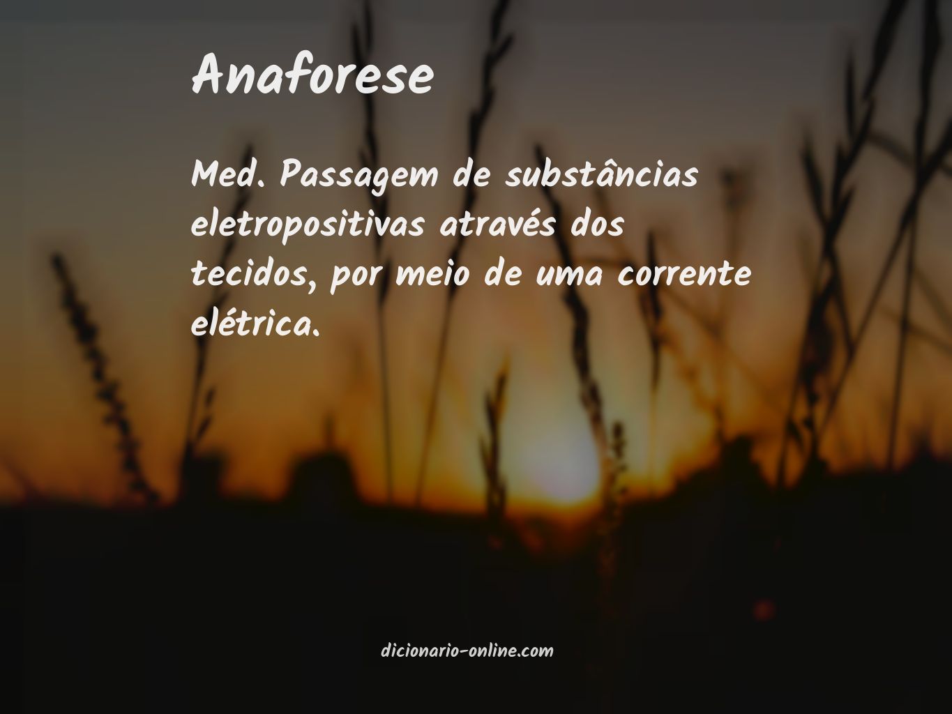 Significado de anaforese