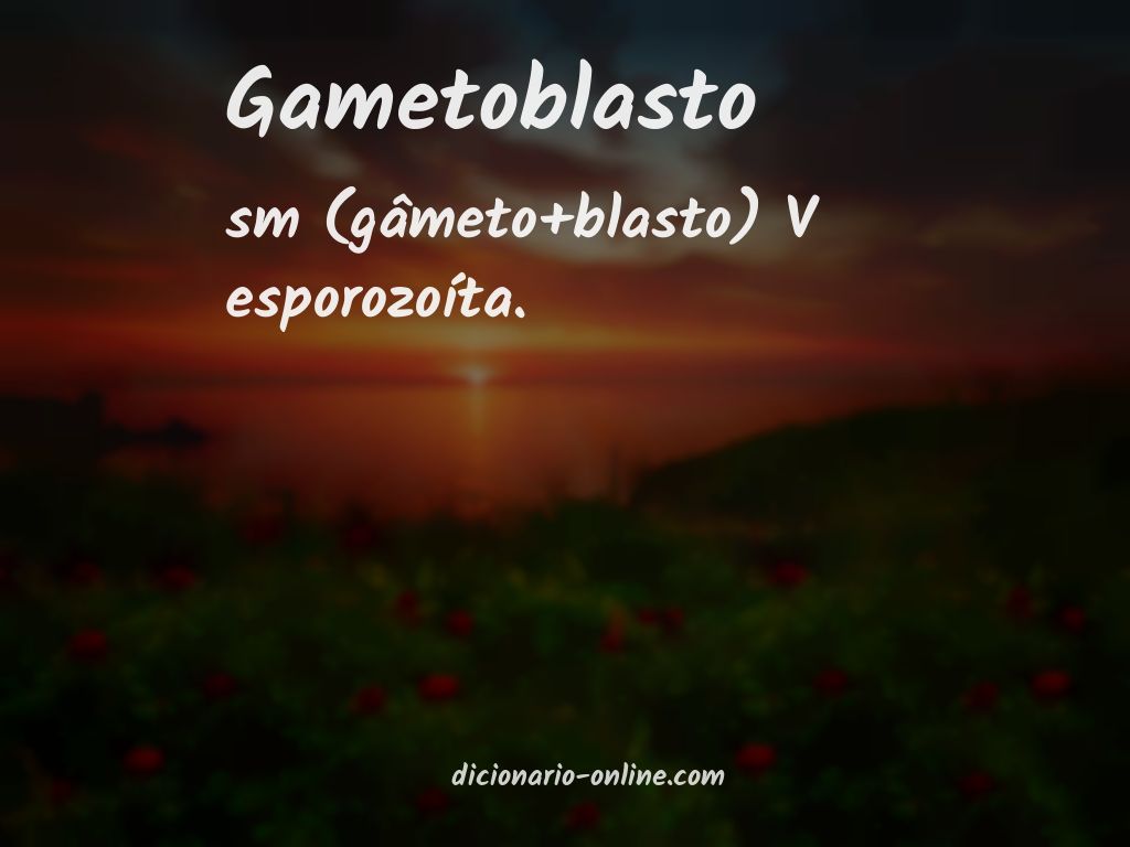 Significado de gametoblasto