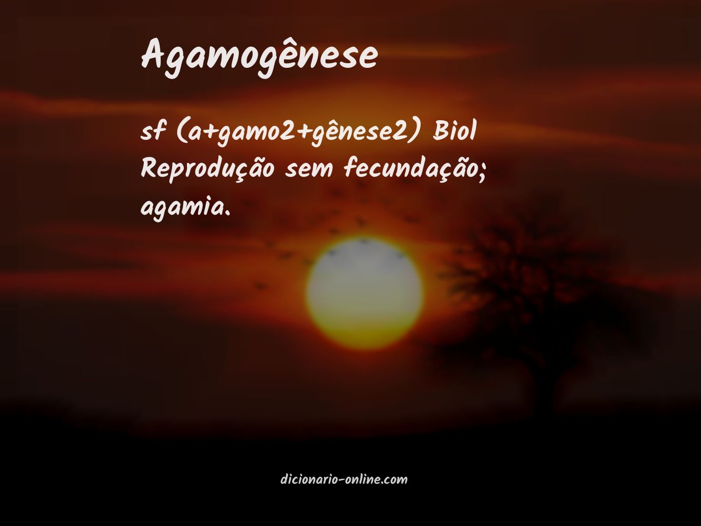 Significado de agamogênese