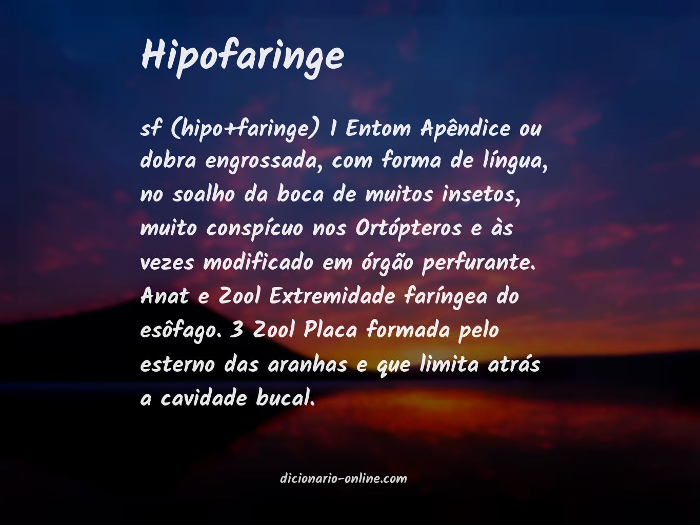 Significado de hipofaringe