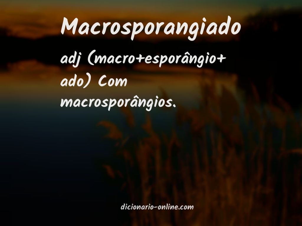 Significado de macrosporangiado