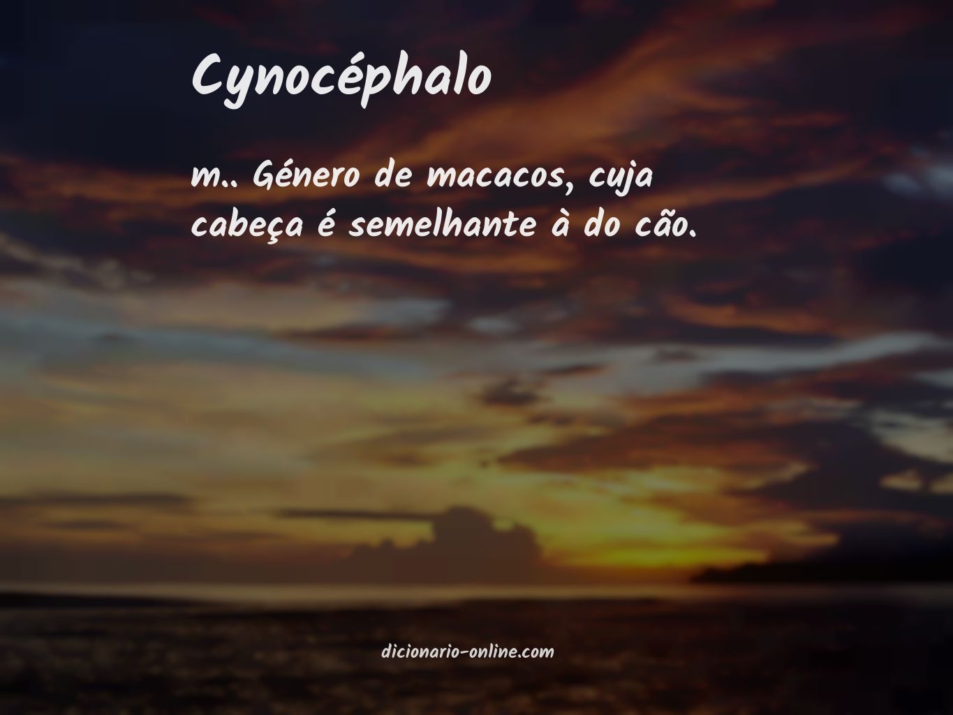 Significado de cynocéphalo