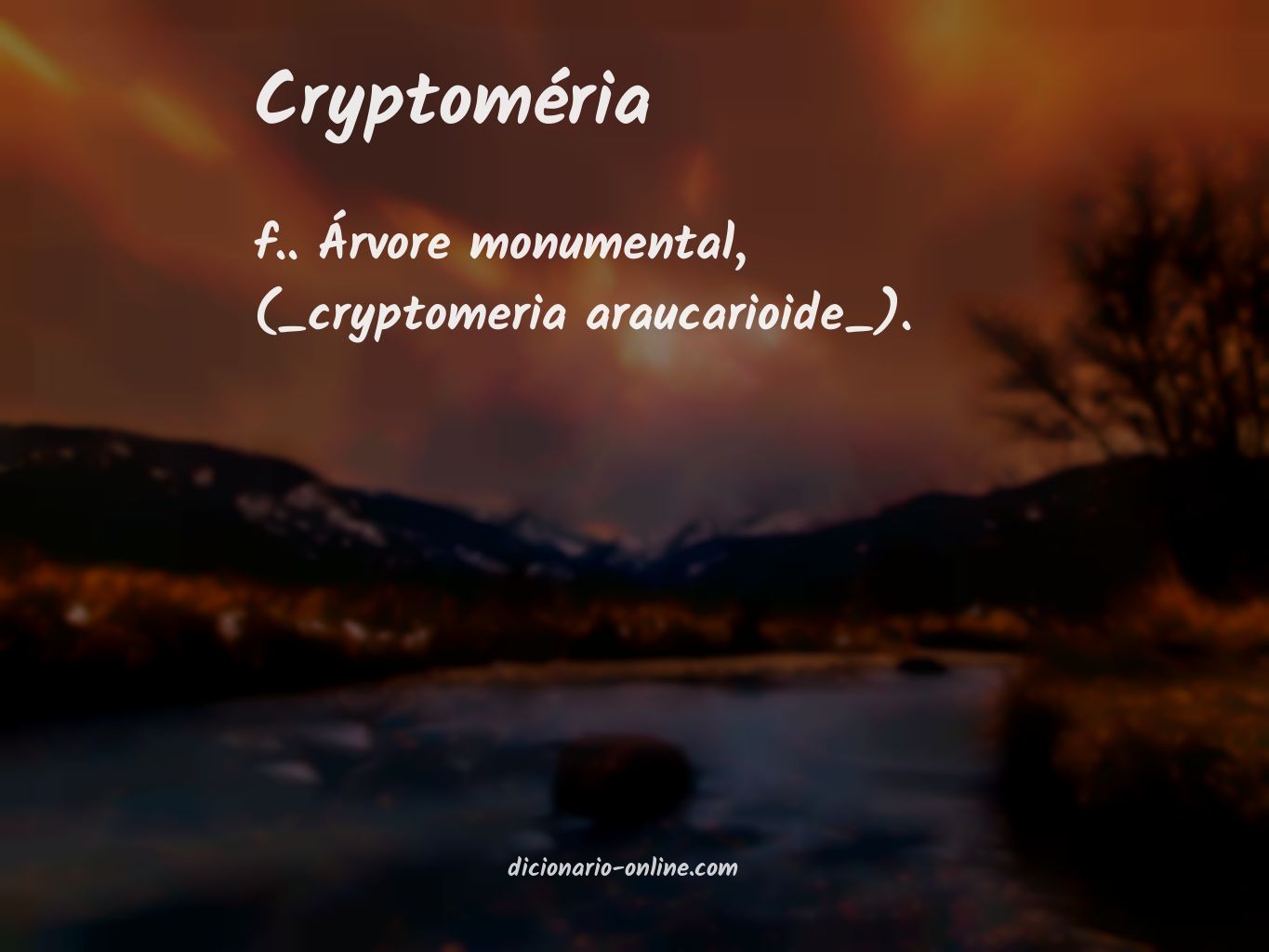 Significado de cryptoméria
