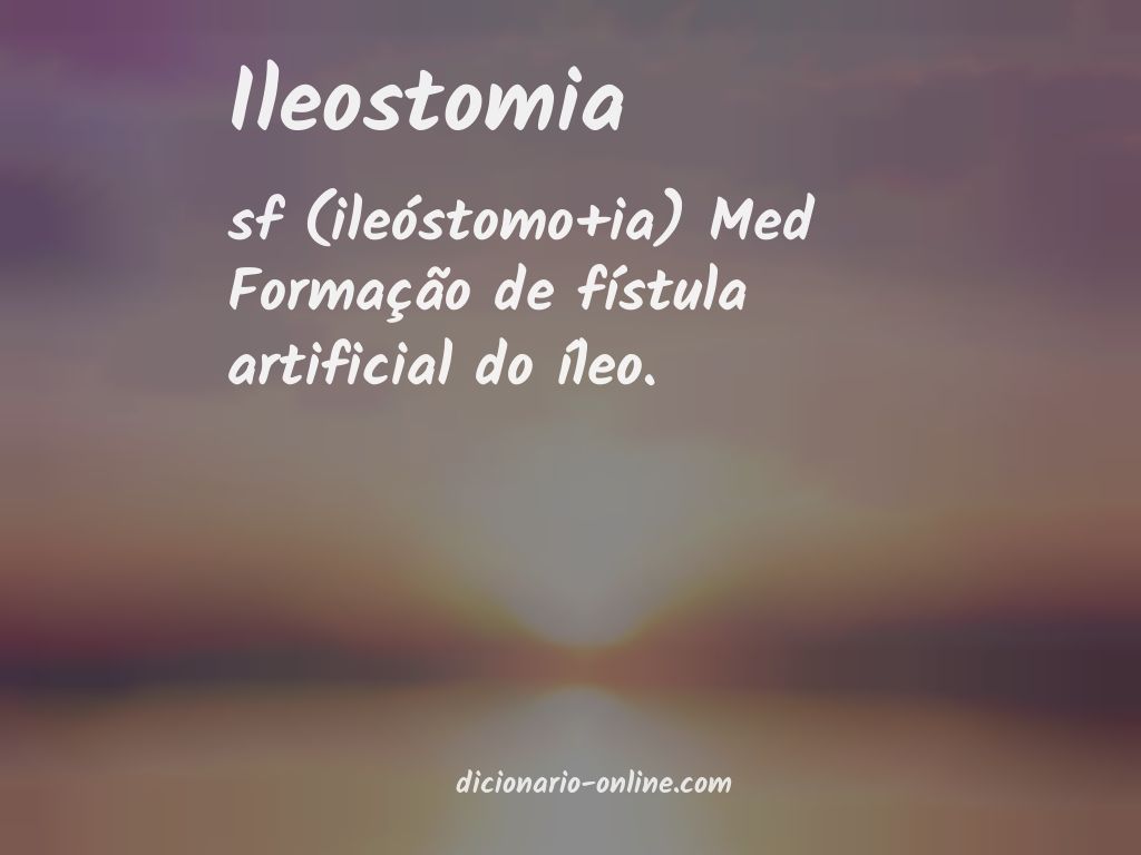 Significado de ileostomia