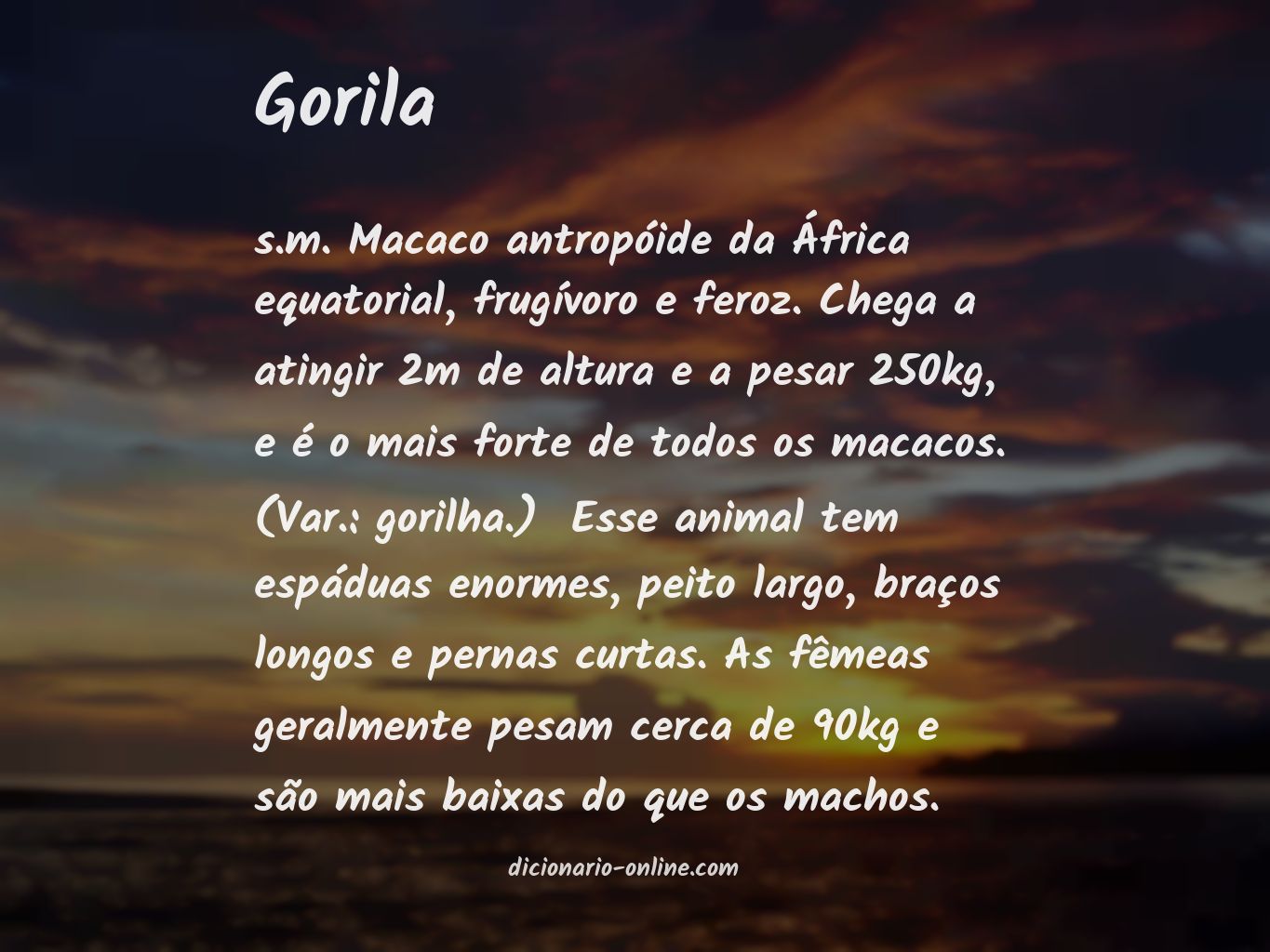 Significado de gorila