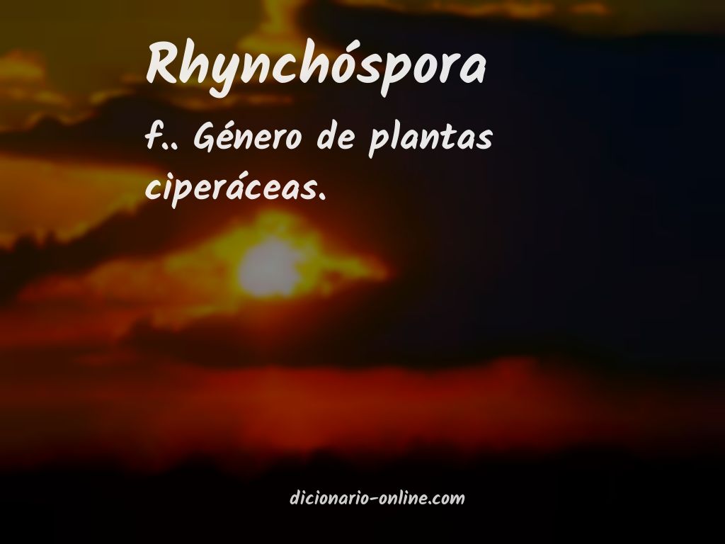 Significado de rhynchóspora