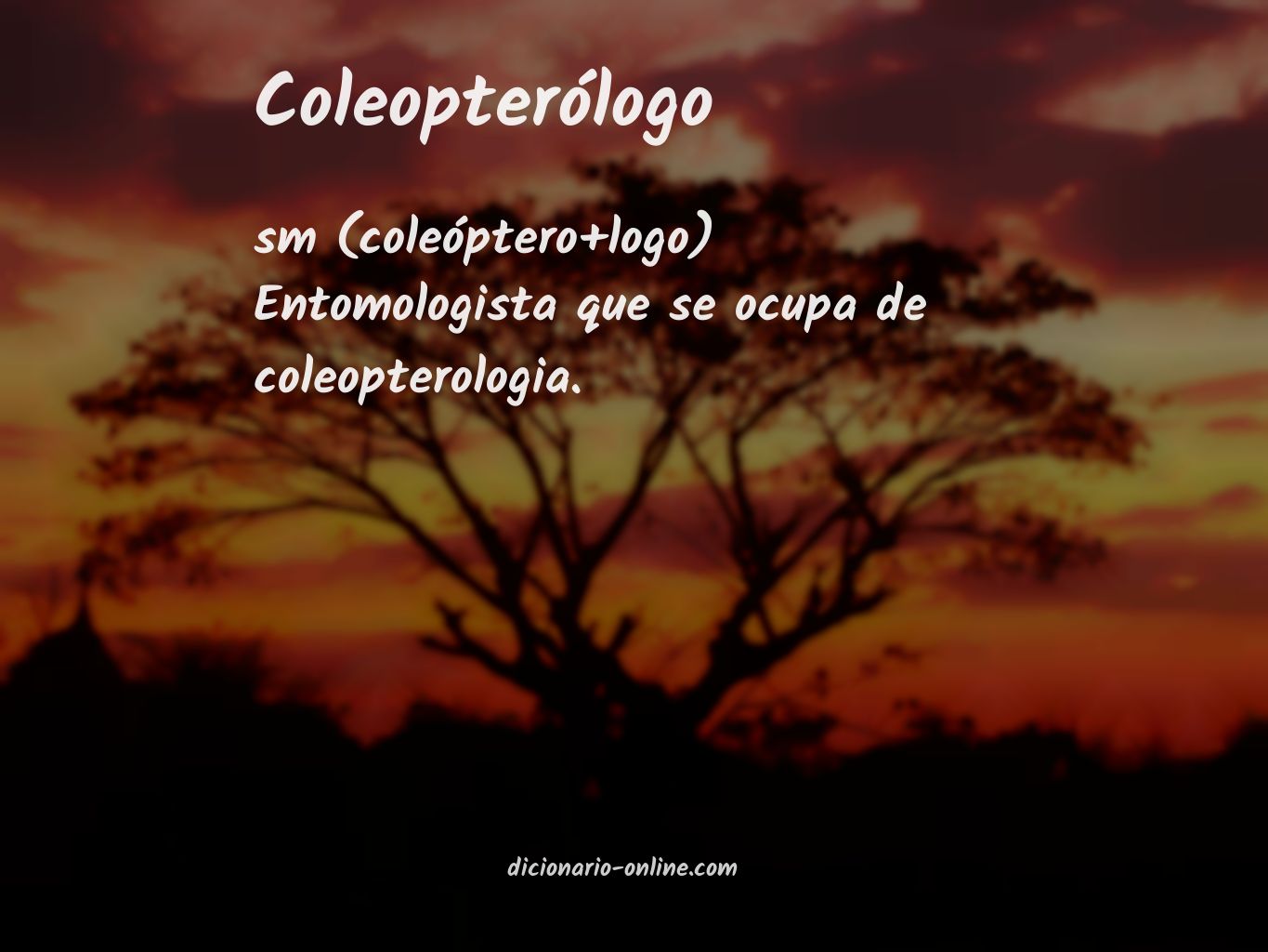 Significado de coleopterólogo