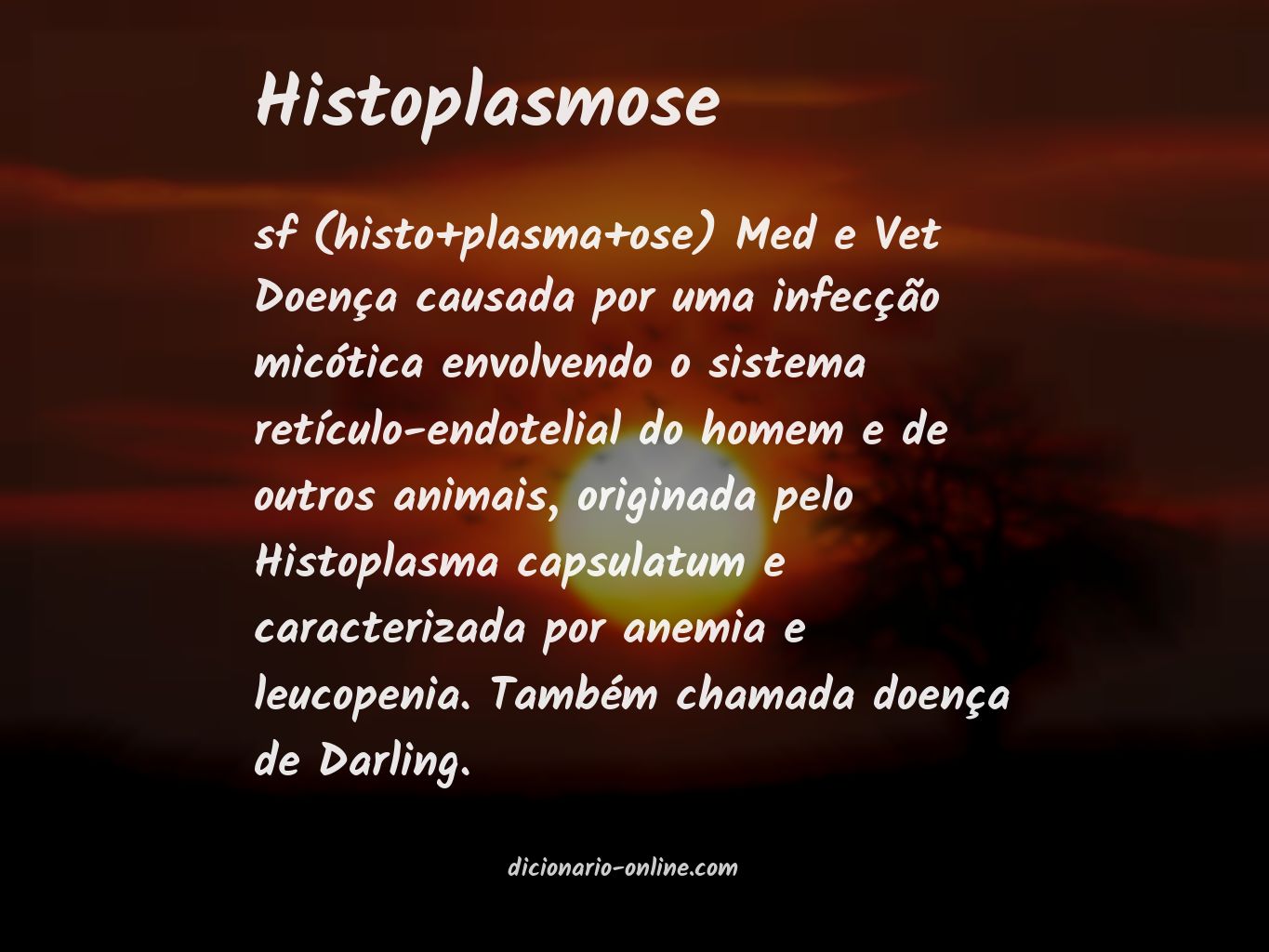 Significado de histoplasmose
