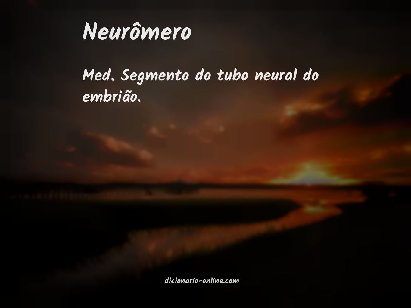 Significado de neurômero