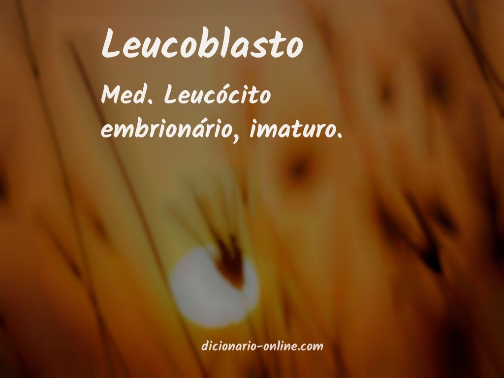 Significado de leucoblasto