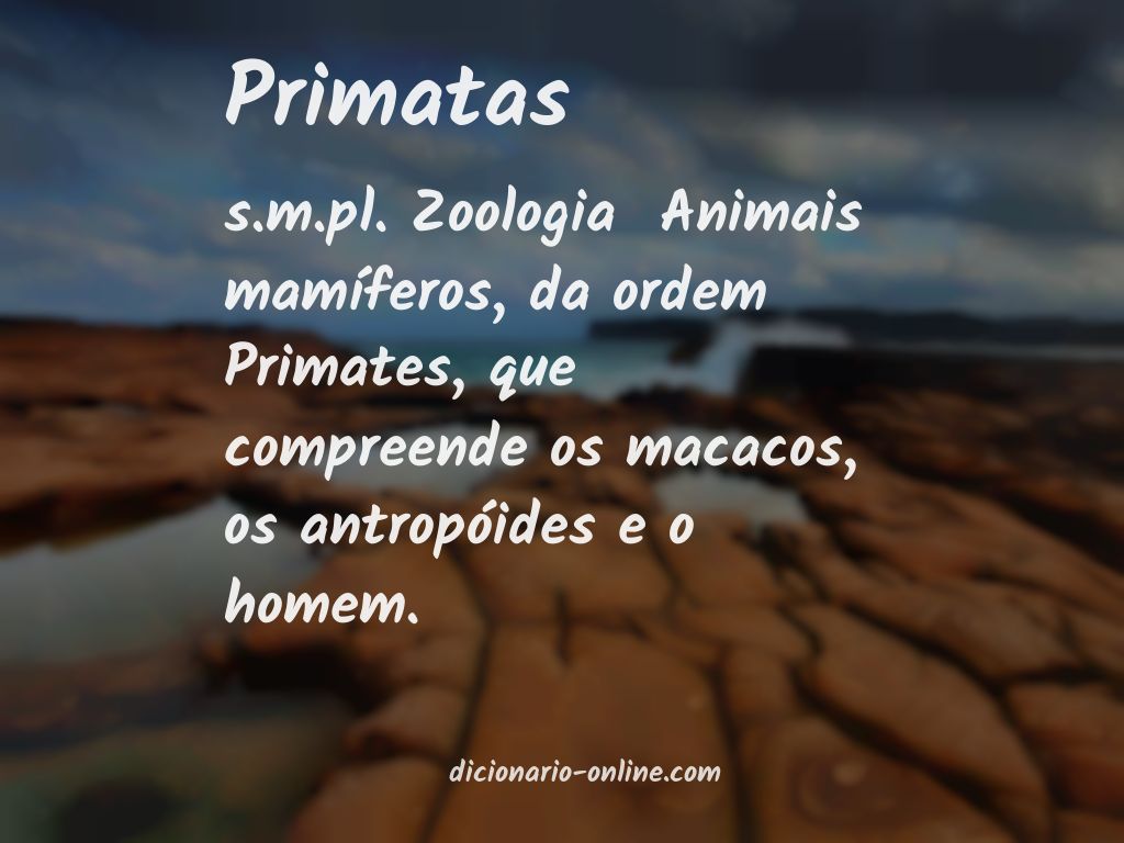 Significado de primatas