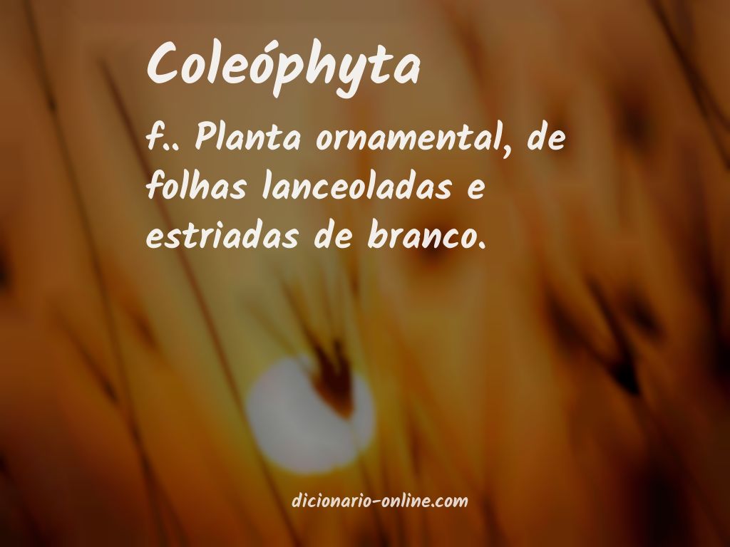 Significado de coleóphyta