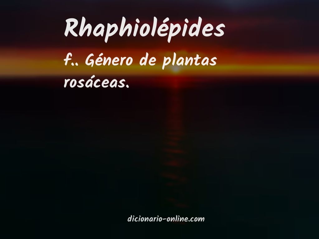 Significado de rhaphiolépides
