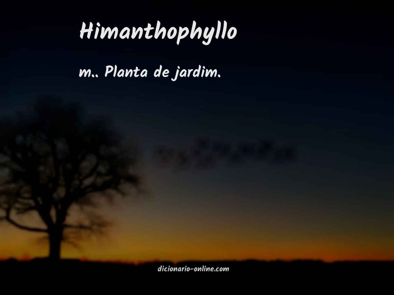 Significado de himanthophyllo
