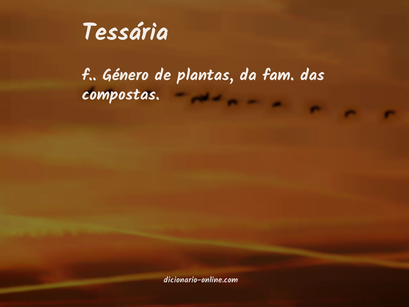 Significado de tessária