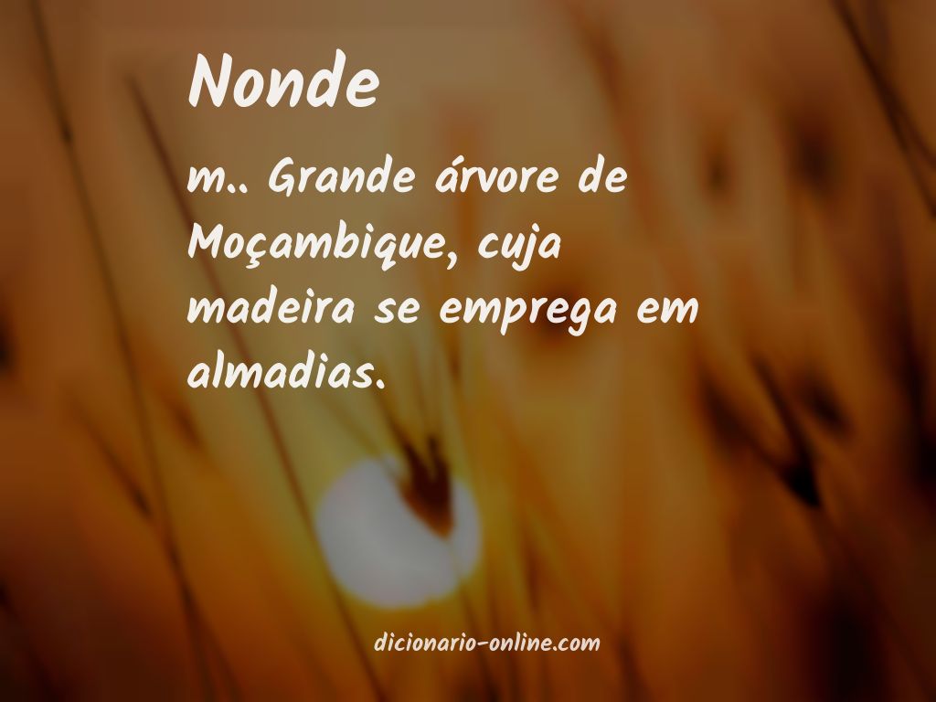 Significado de nonde