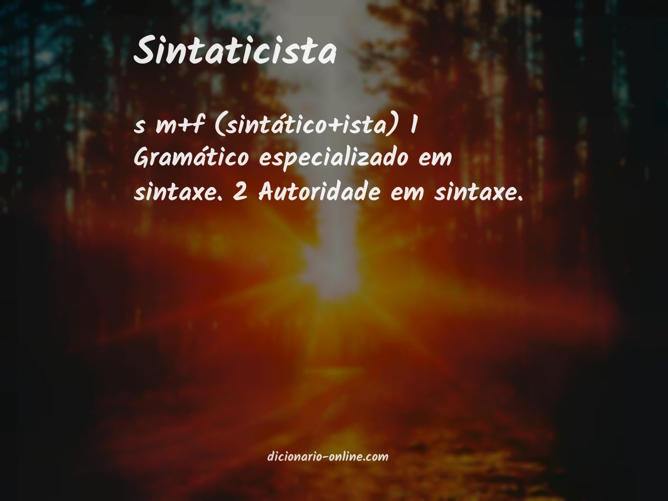 Significado de sintaticista