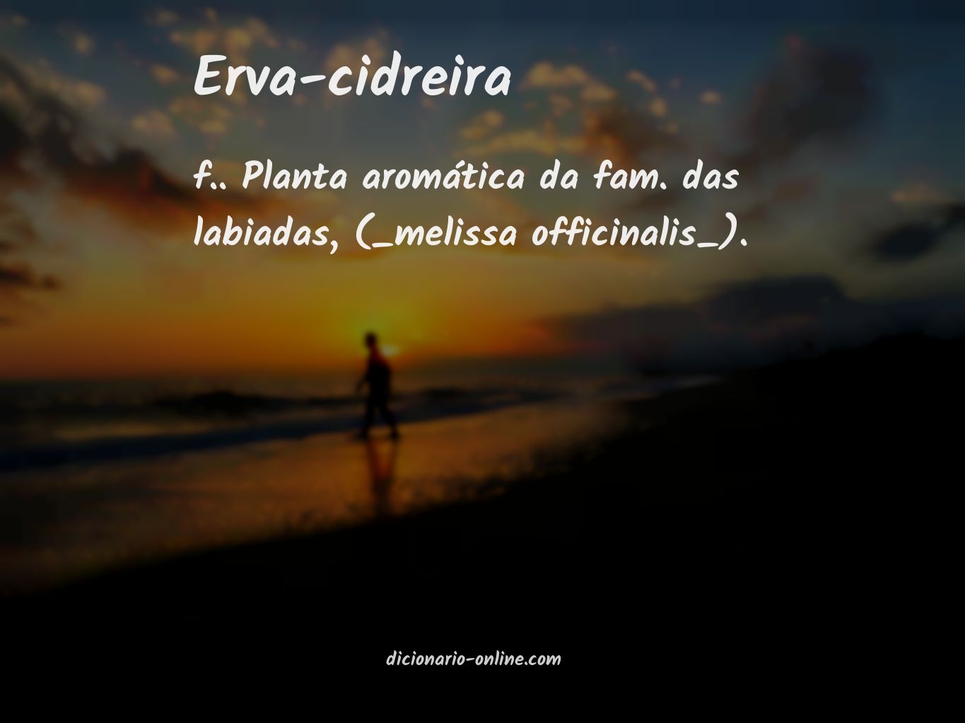 Significado de erva-cidreira