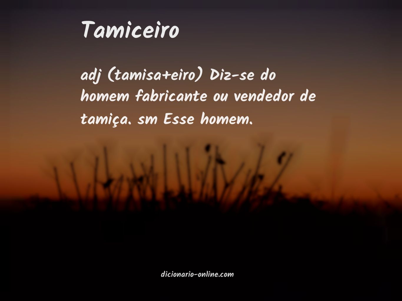 Significado de tamiceiro