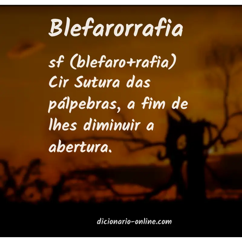 Significado de blefarorrafia
