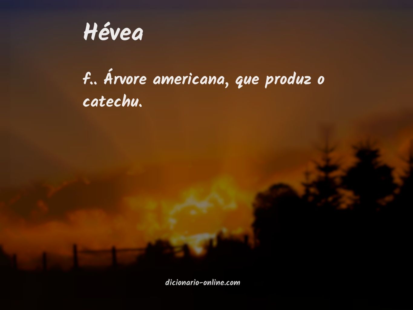 Significado de hévea