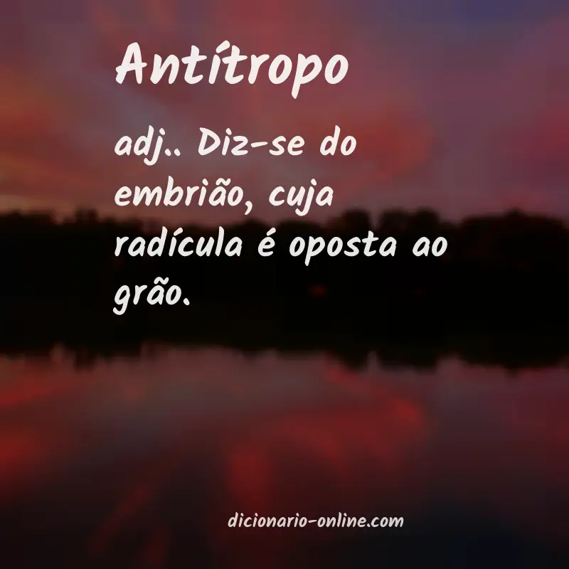 Significado de antítropo