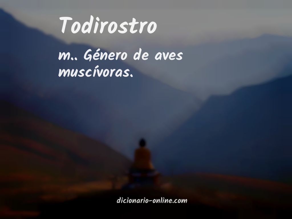 Significado de todirostro