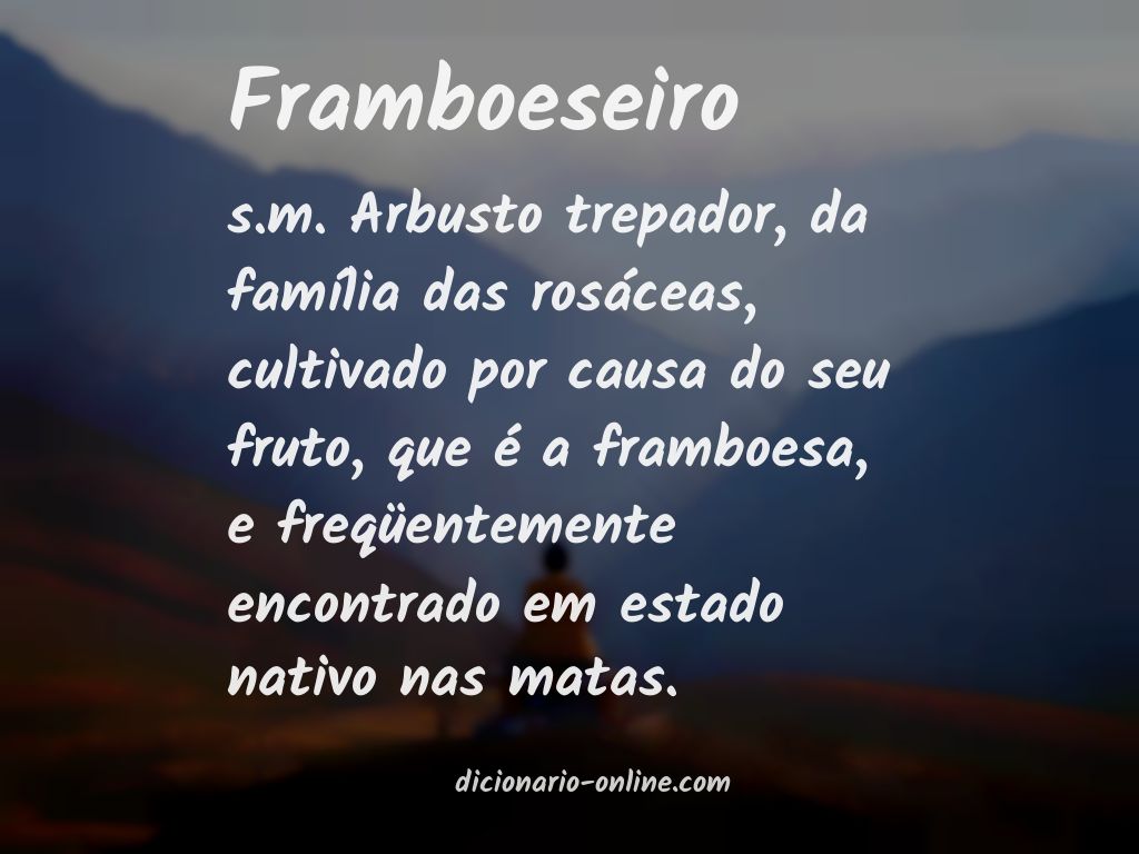 Significado de framboeseiro