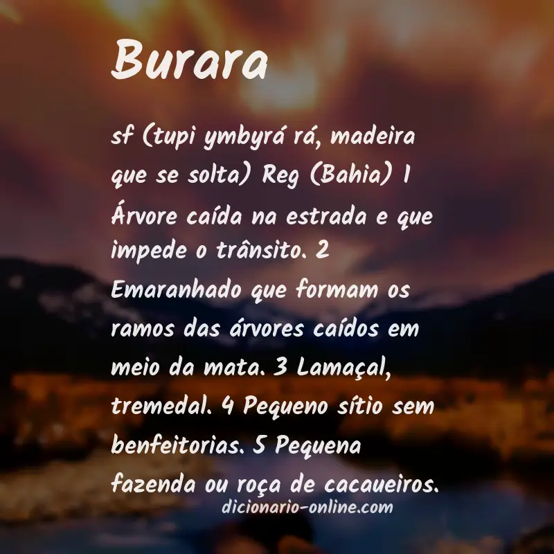 Significado de burara