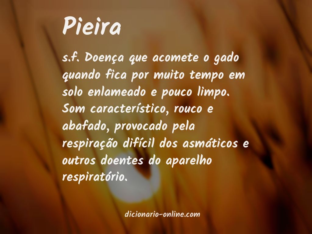 Significado de pieira