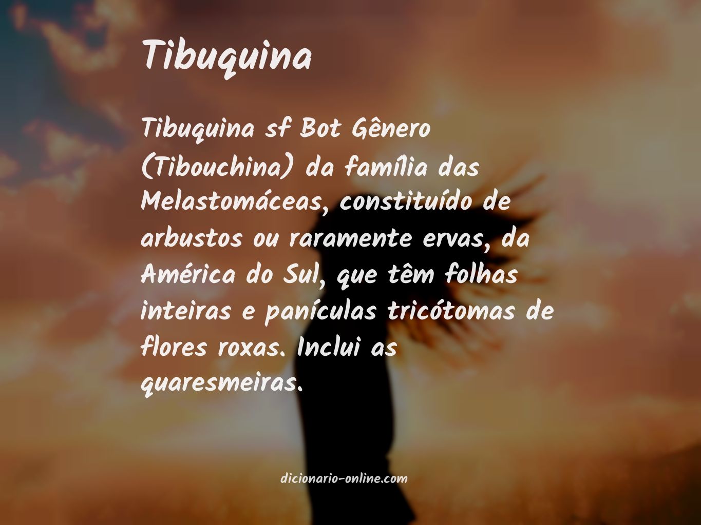 Significado de tibuquina